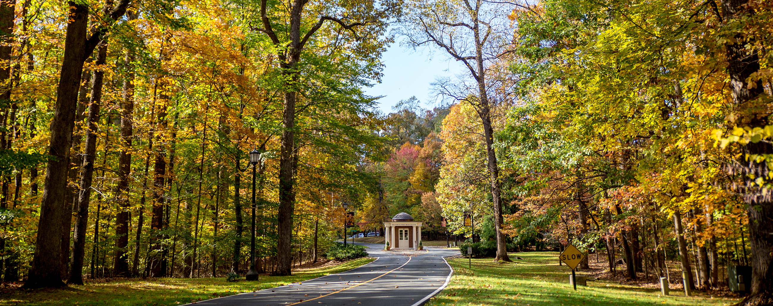 Sweet Briar College 263